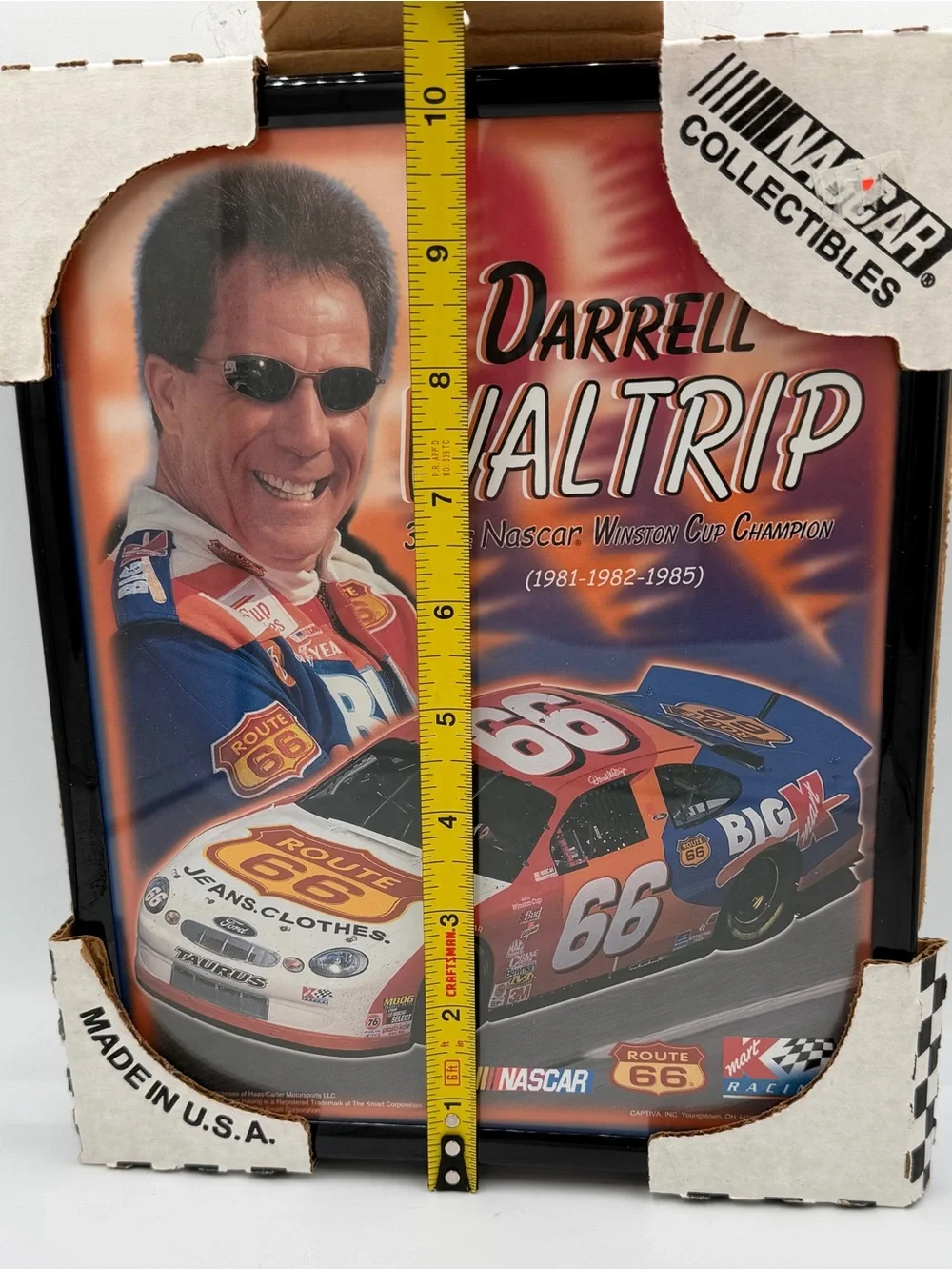 Darrell Waltrip Route 66 Red/Blue Racing Wall Decor by